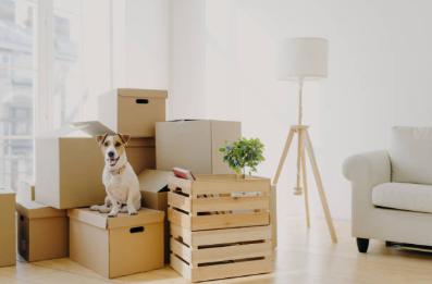 Déménagement de studio et petit appartement