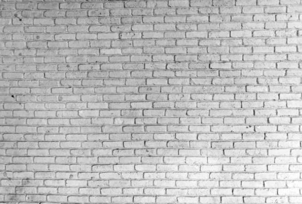 Pose de papier peint et revêtements muraux