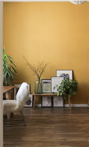 Mur intérieur repeint par Mister Débarras